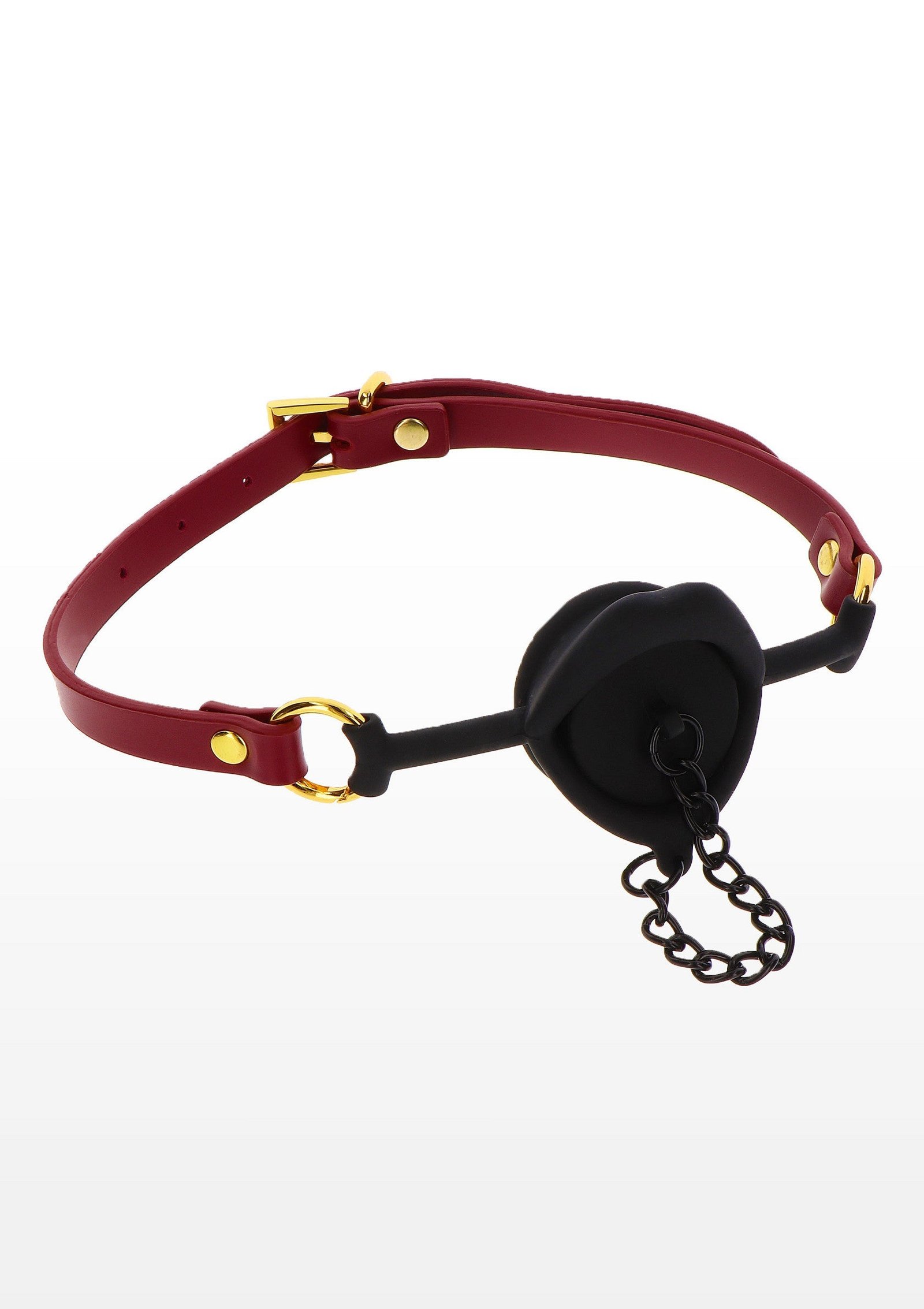 Kinky Gag with Plug 4