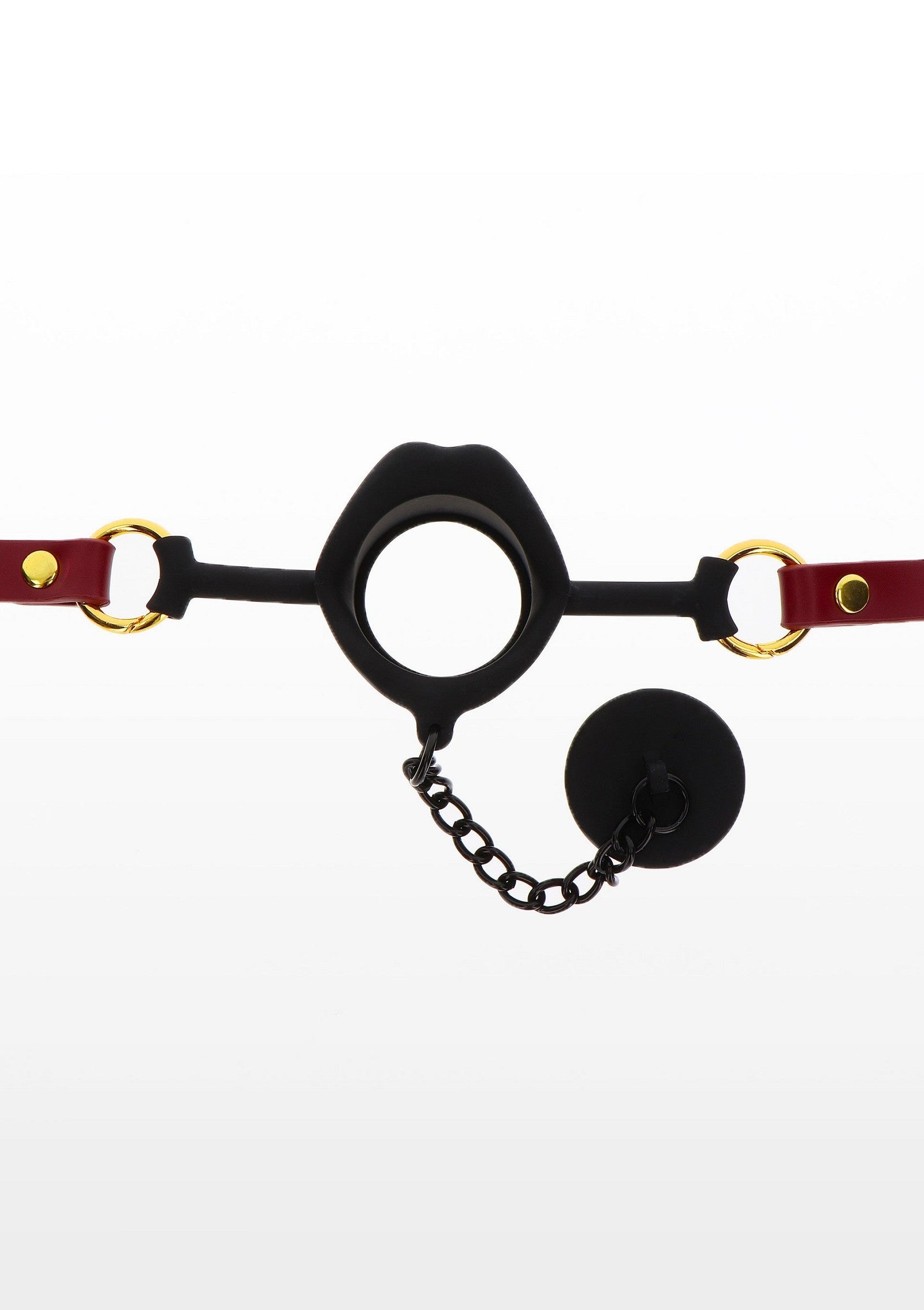 Kinky Gag with Plug 6