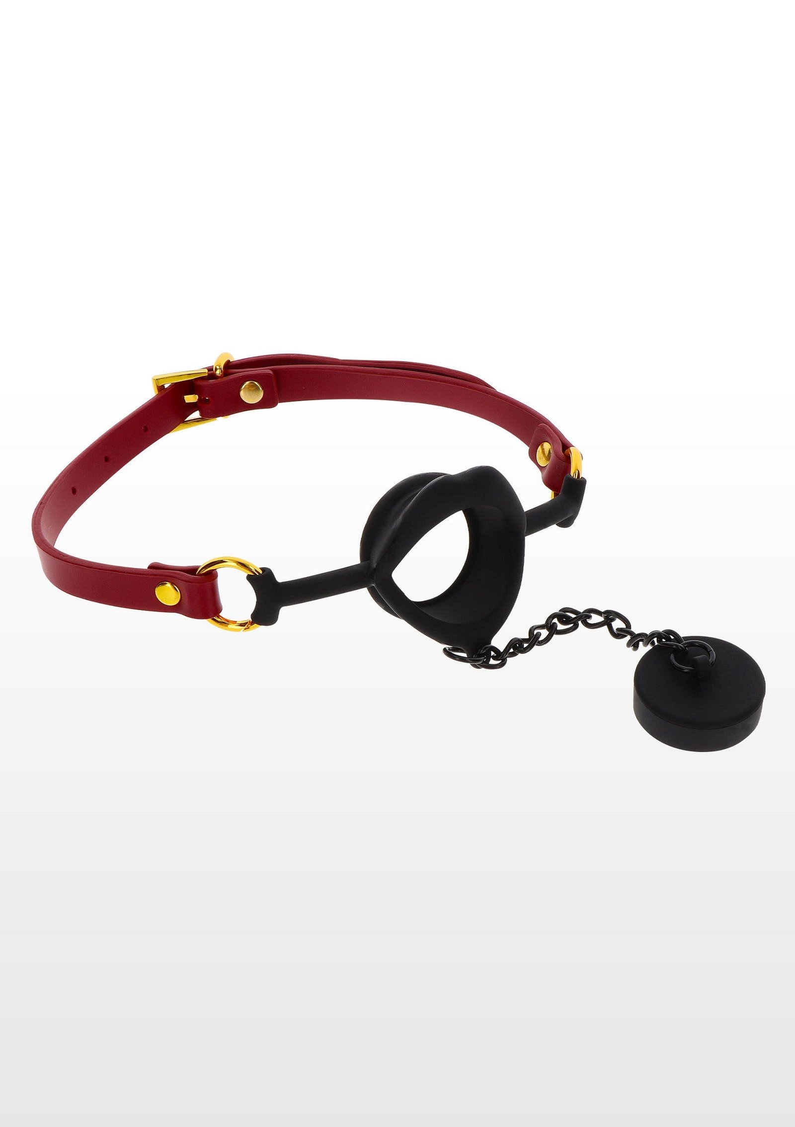 Kinky Gag with Plug 2