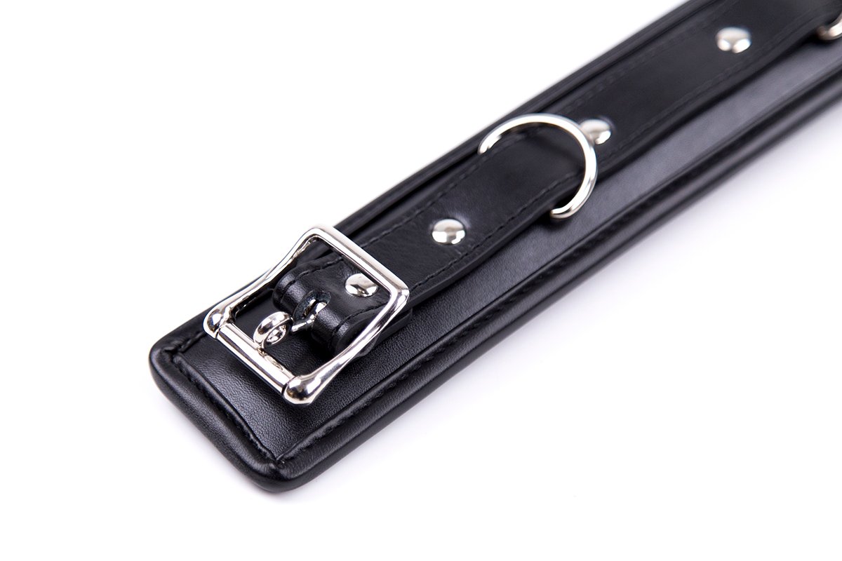 Collar with leash black 4