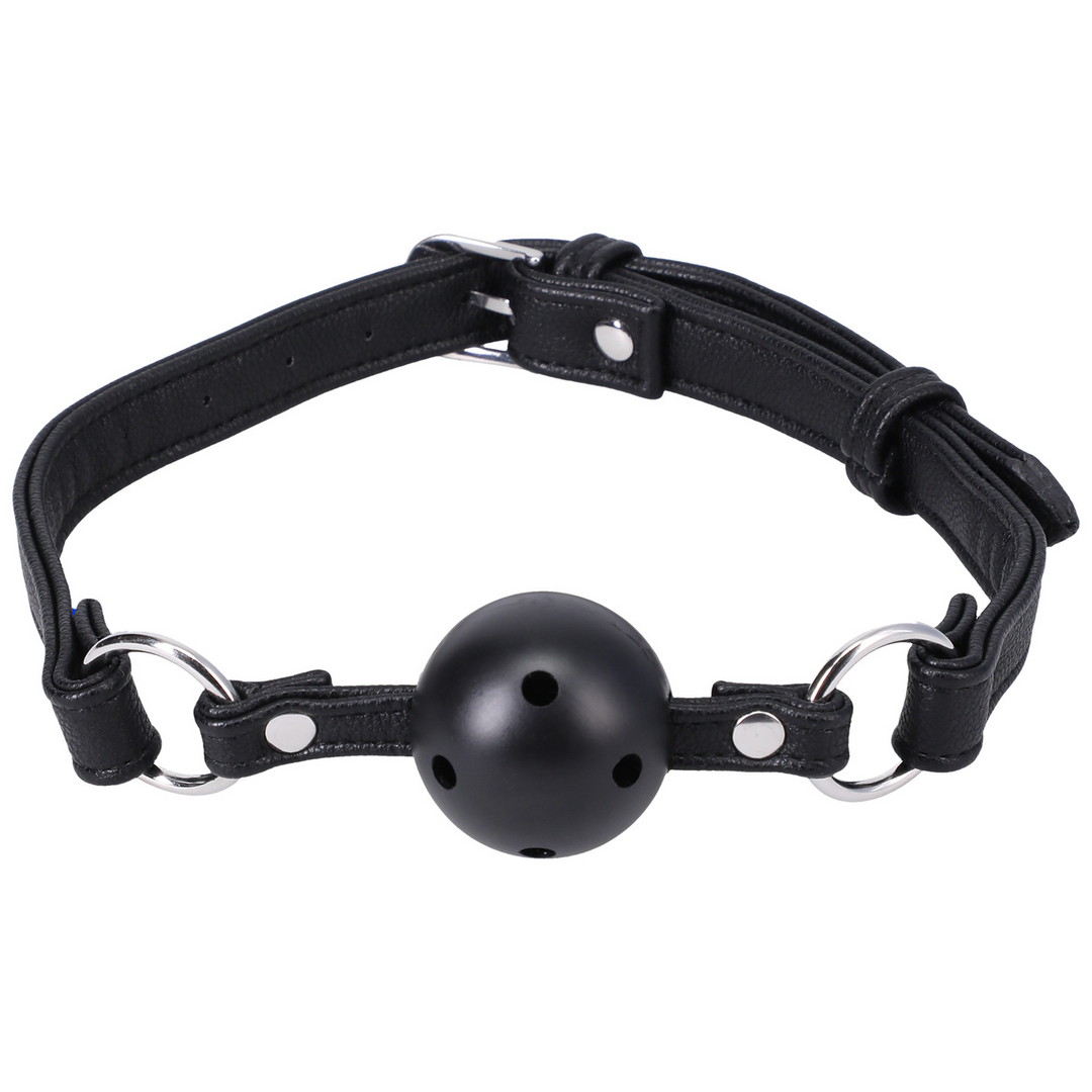 Ball Gag 1