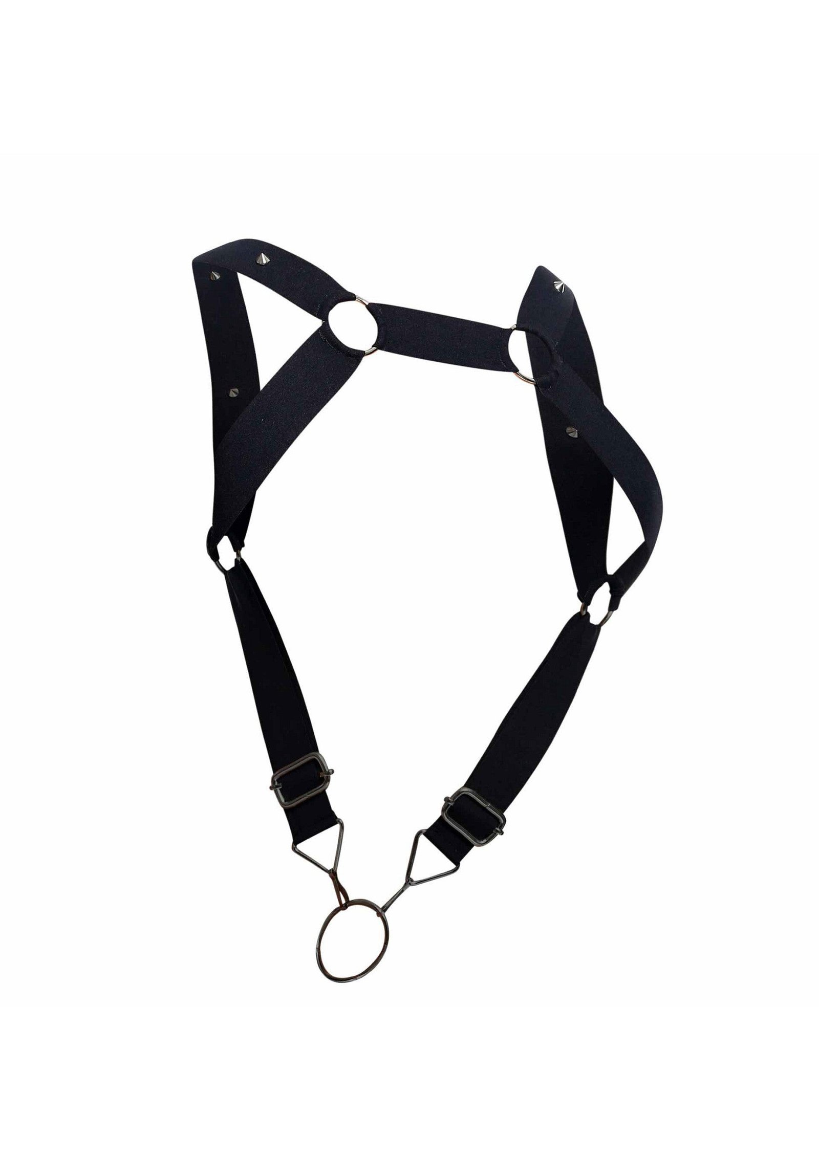 DNGEON Straight Back Harness 5