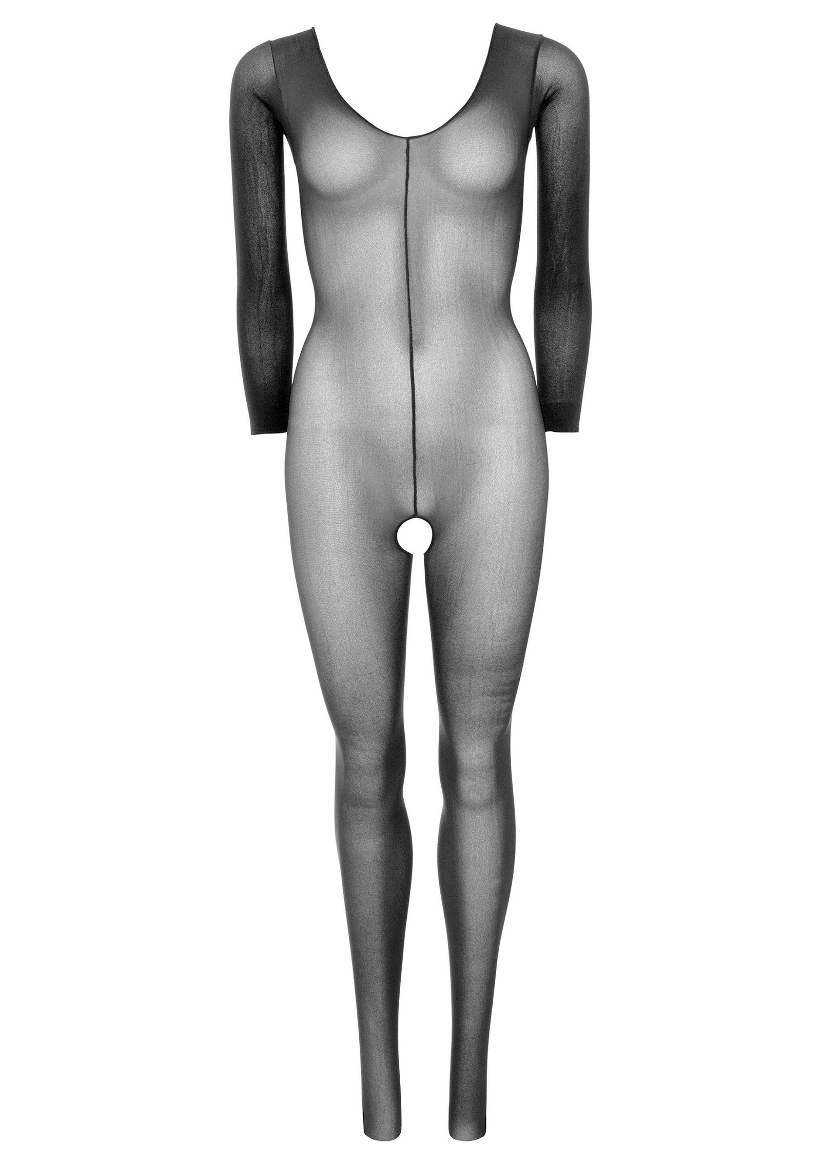 Sheer Long Sleeves Bodystocking 6