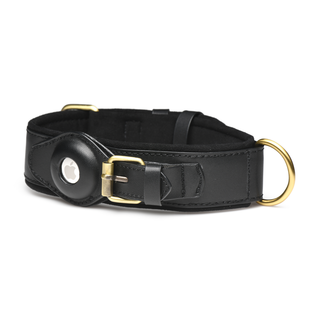 Tracer - Tracking Collar - Black 5