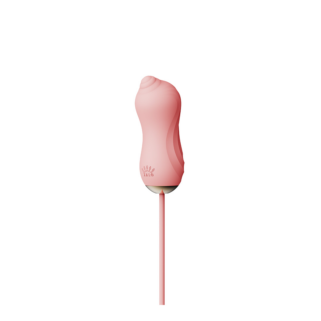 Sucking Vibrator with Pump and Different Attachments 3