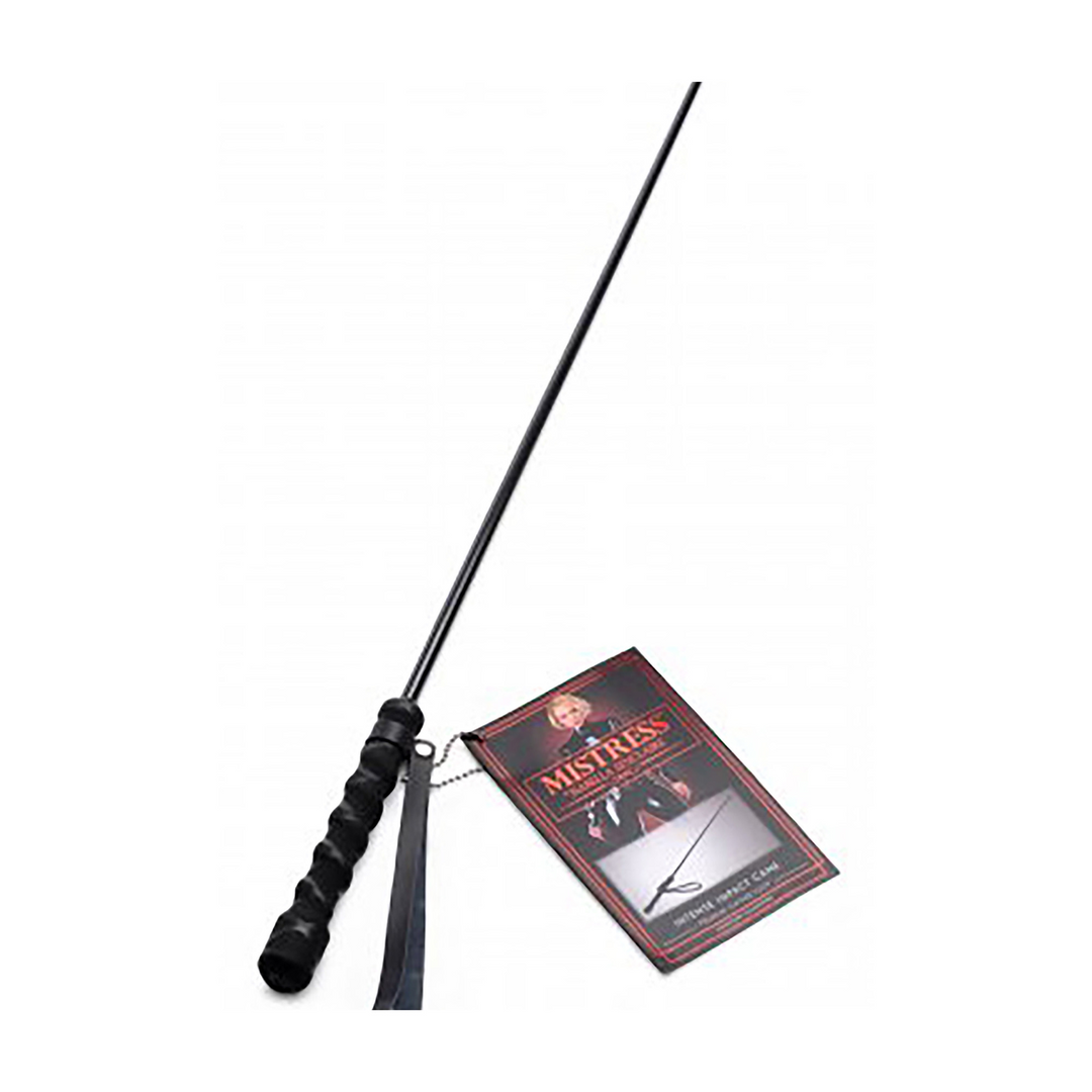 Strike Stick 2