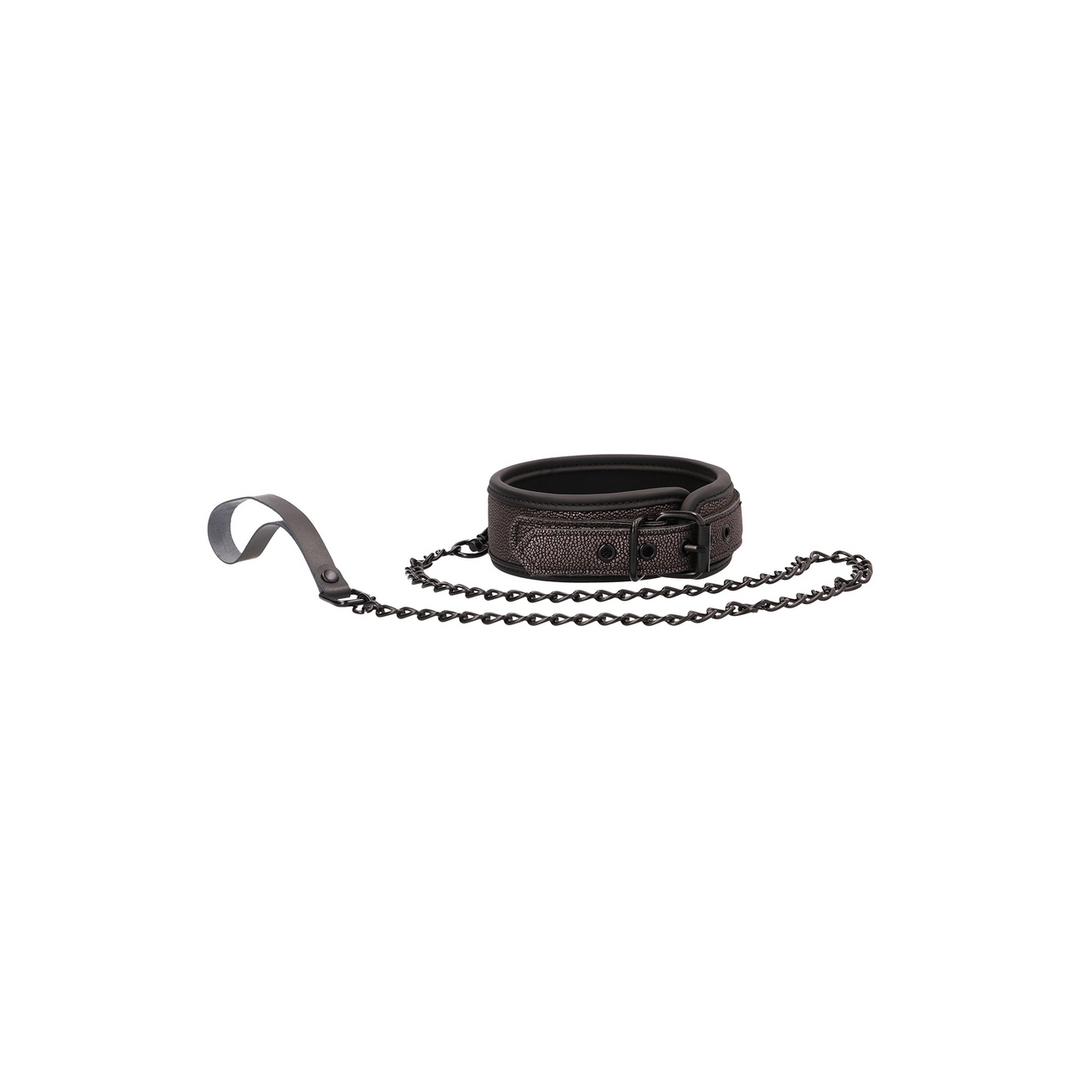 Collar with Leash 1