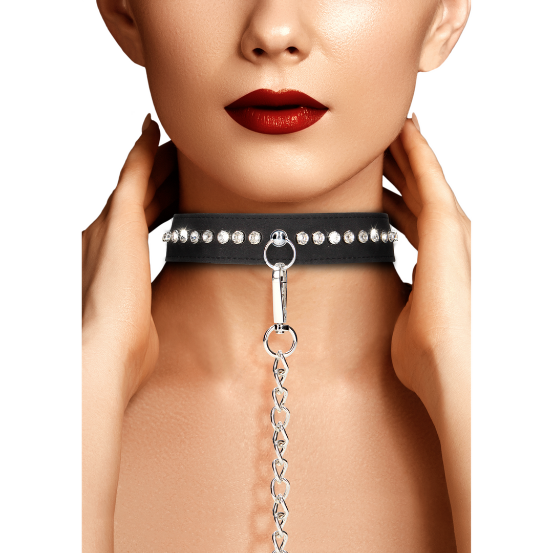 Diamond Studded Collar with Leash 1