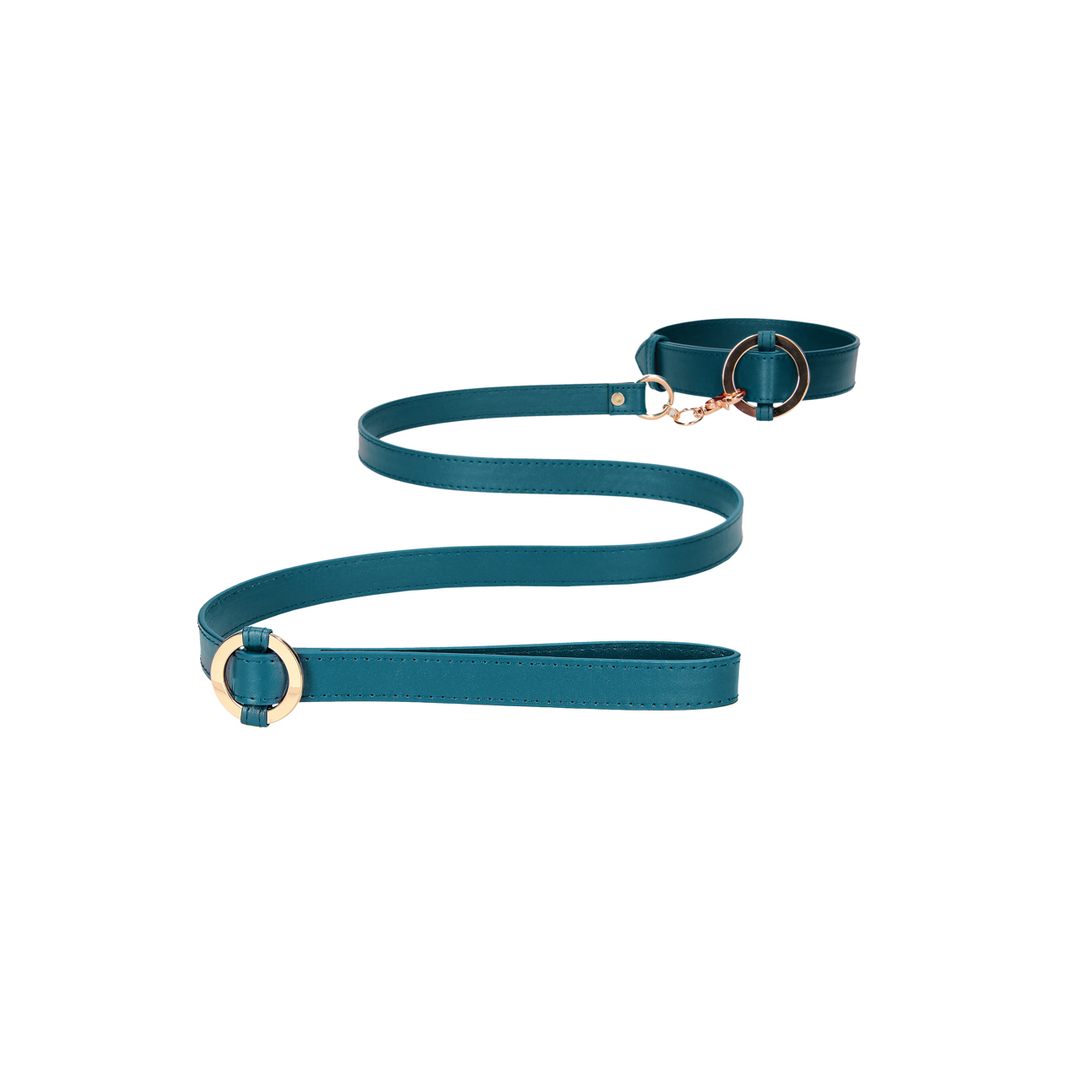 Luxurious Collar with Leash 4
