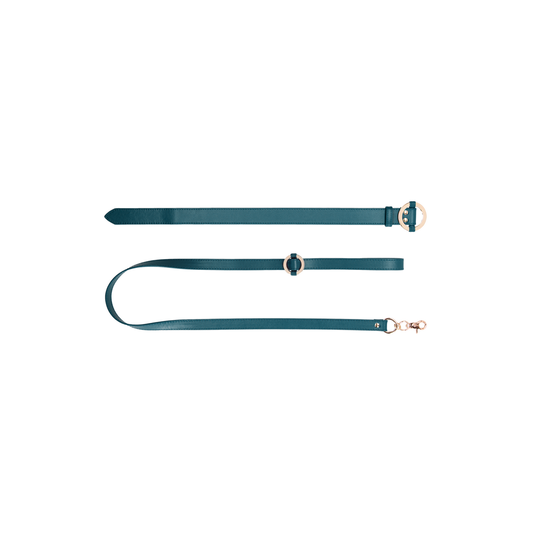 Luxurious Collar with Leash 5