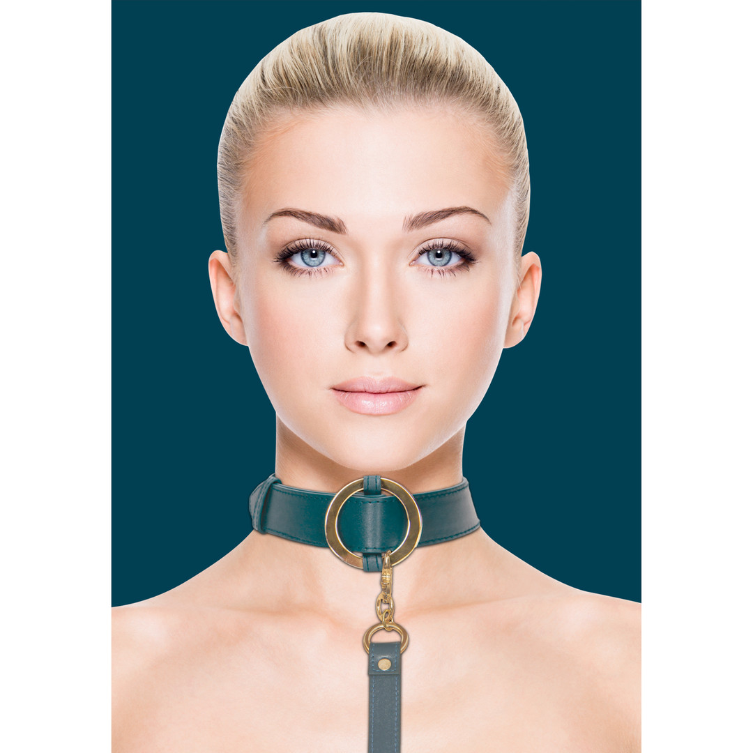 Luxurious Collar with Leash 1