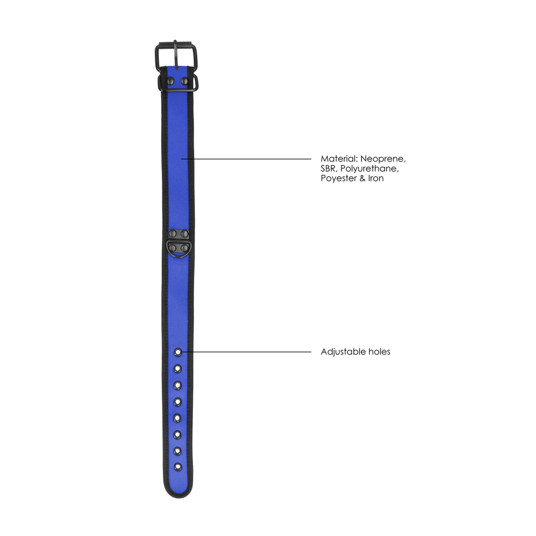 Neoprene Collar with Leash 6