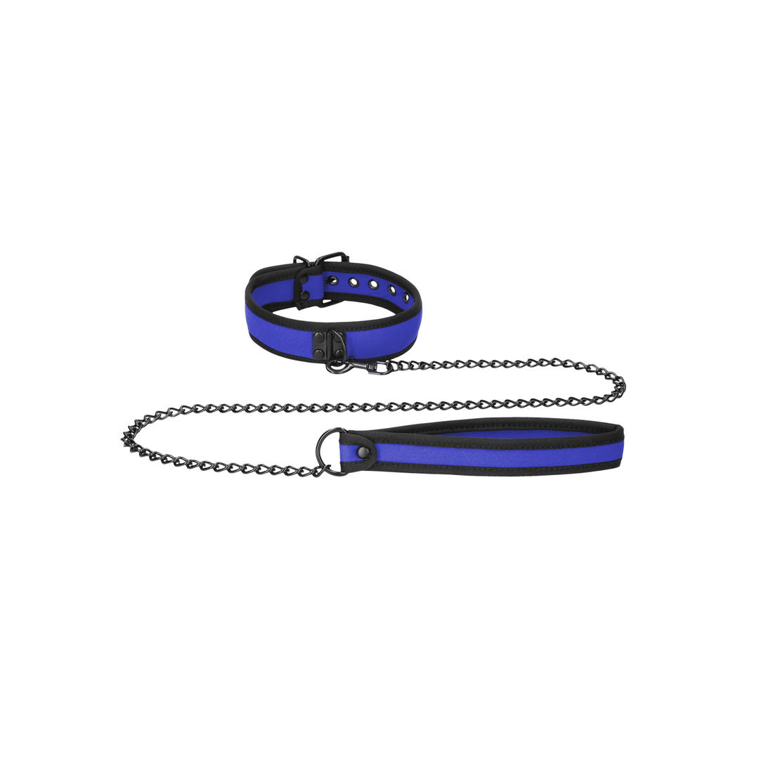 Neoprene Collar with Leash 4