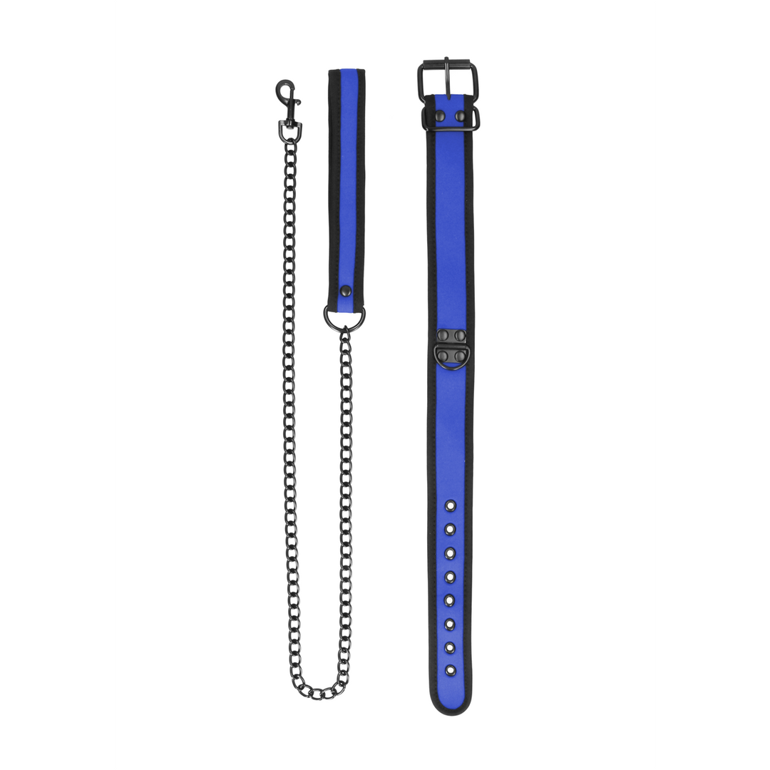 Neoprene Collar with Leash 5