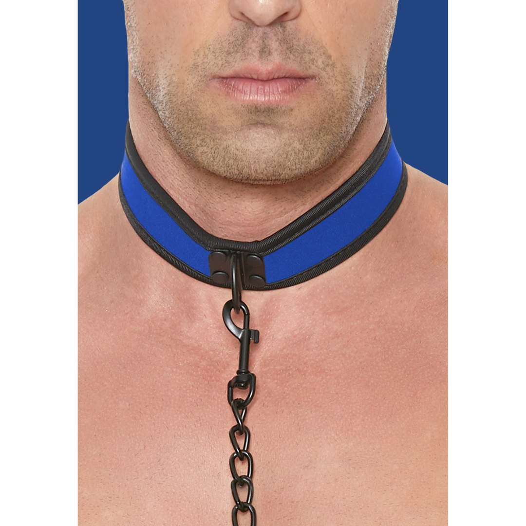 Neoprene Collar with Leash 1