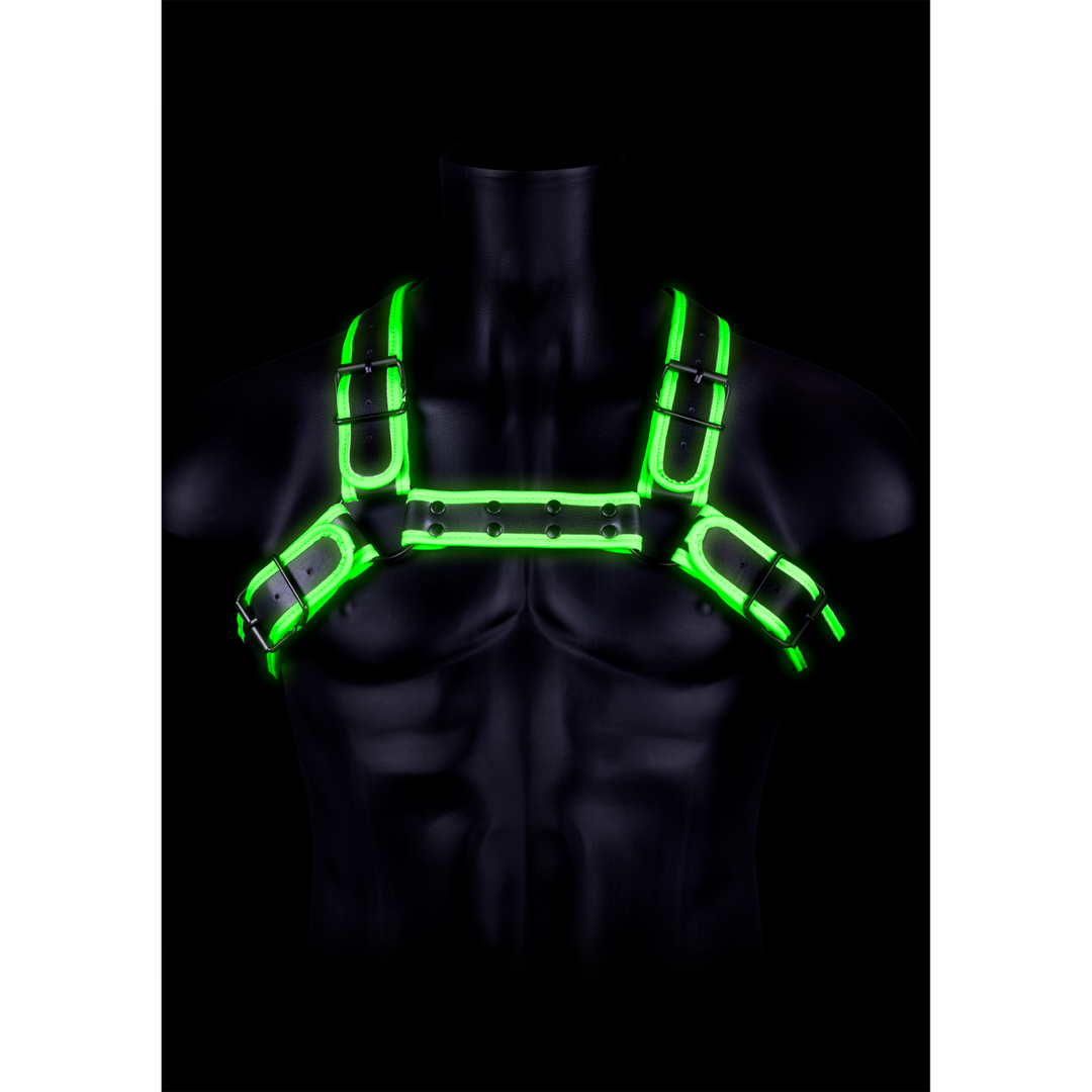 Bulldog Harness with Buckle - Glow in the Dark - L/XL 1