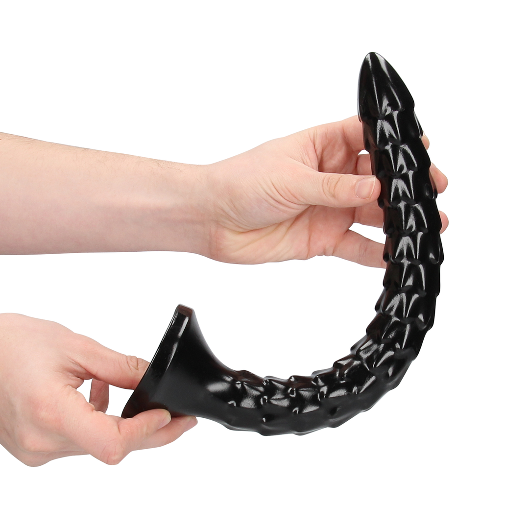 Scaled Anal Snake - 12''/ 30 cm 4
