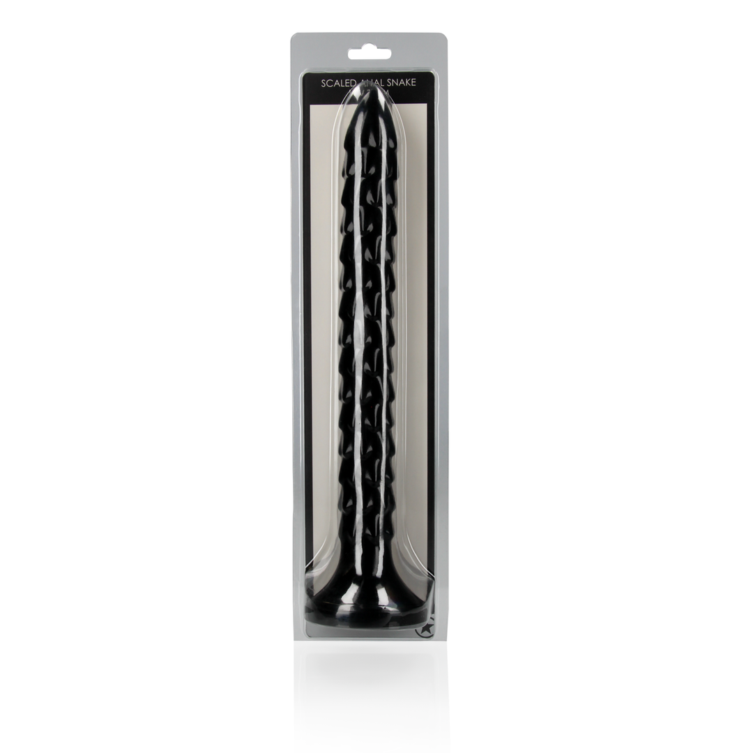 Scaled Anal Snake - 12''/ 30 cm 2