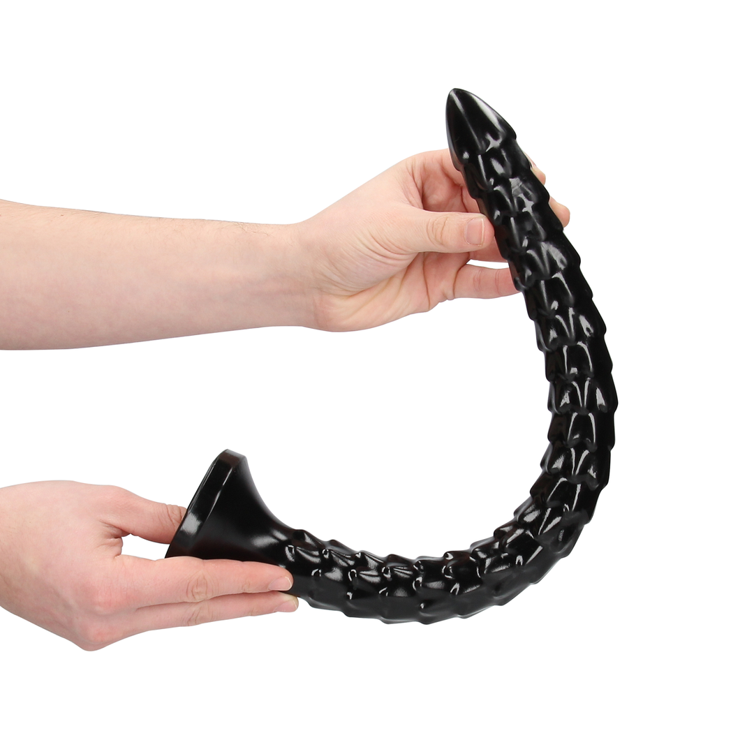 Scaled Anal Snake - 16''/ 40 cm 6