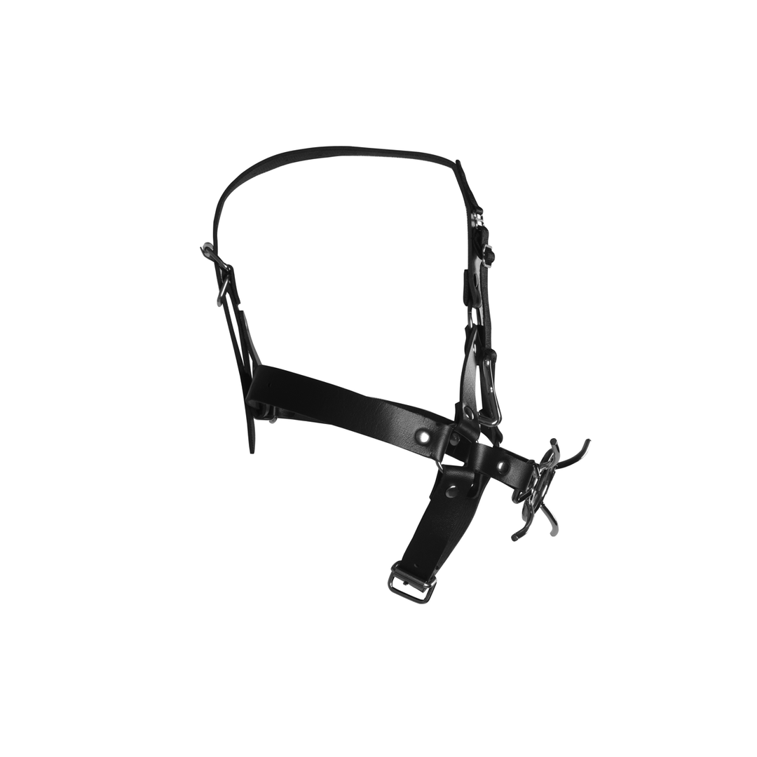 Head Harness with Spider Gag and Nose Hooks - Black 6