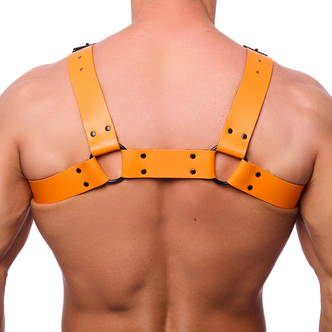 Bulldog Leather Harness - S/M - Orange 2