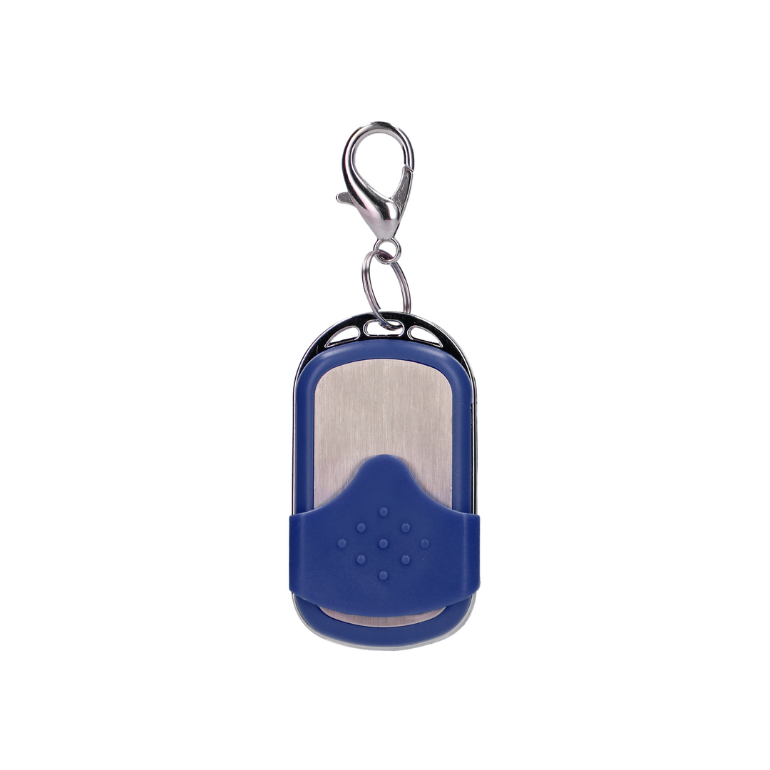 Vibrating Egg with 10 Speeds and Remote Control - L - Blue 4