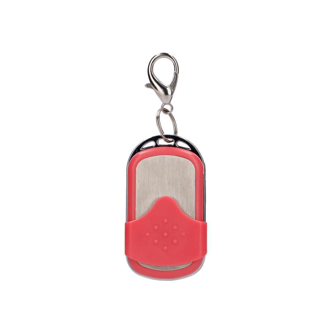 Vibrating Egg with 10 Speeds and Remote Control - L - Pink 5